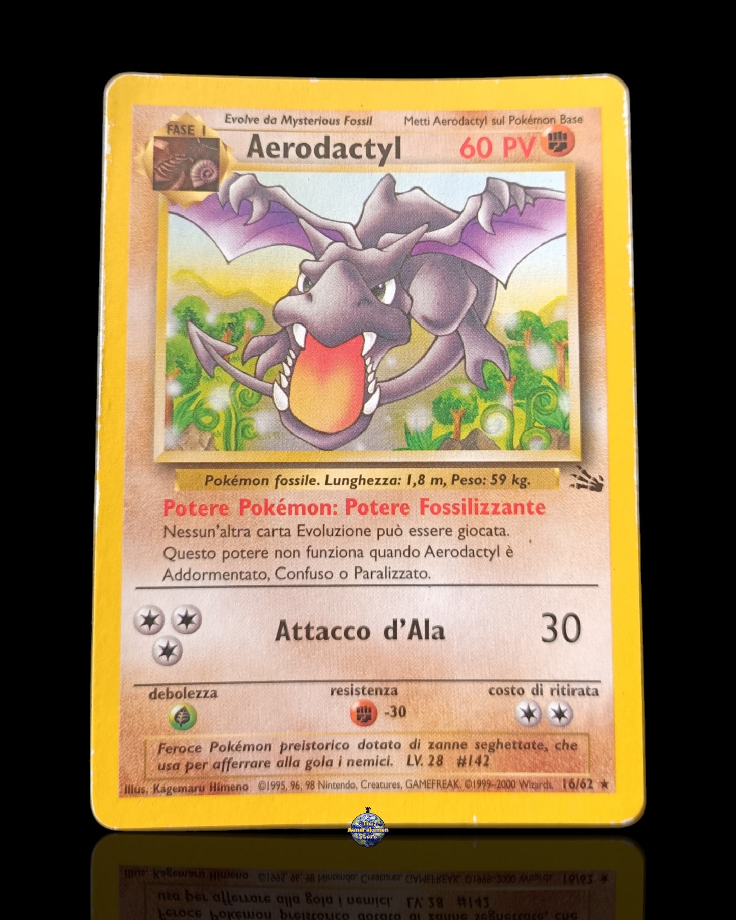 Aerodactyl Fossil
