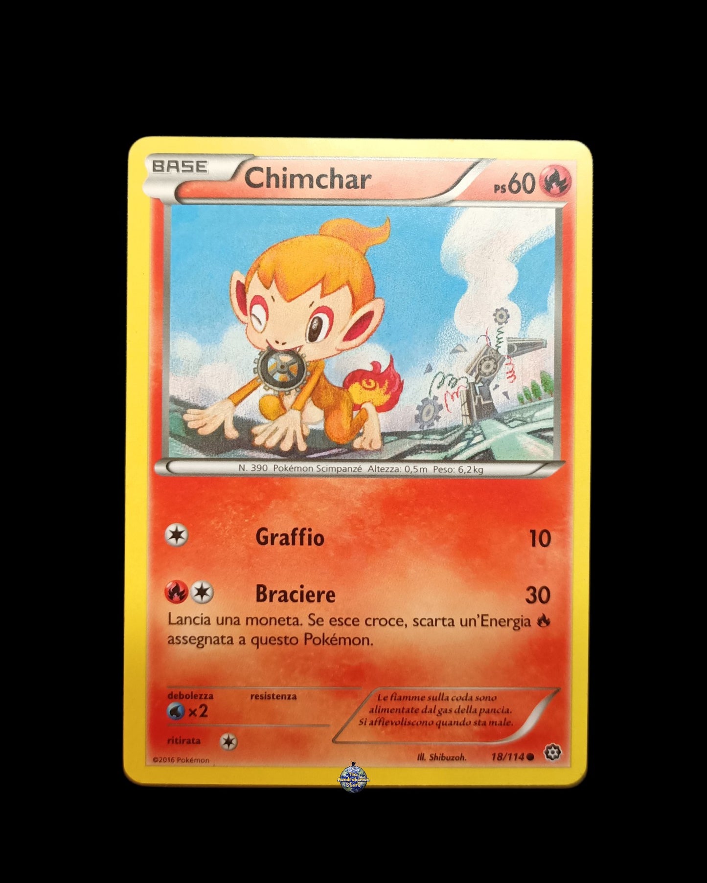 Chimchar