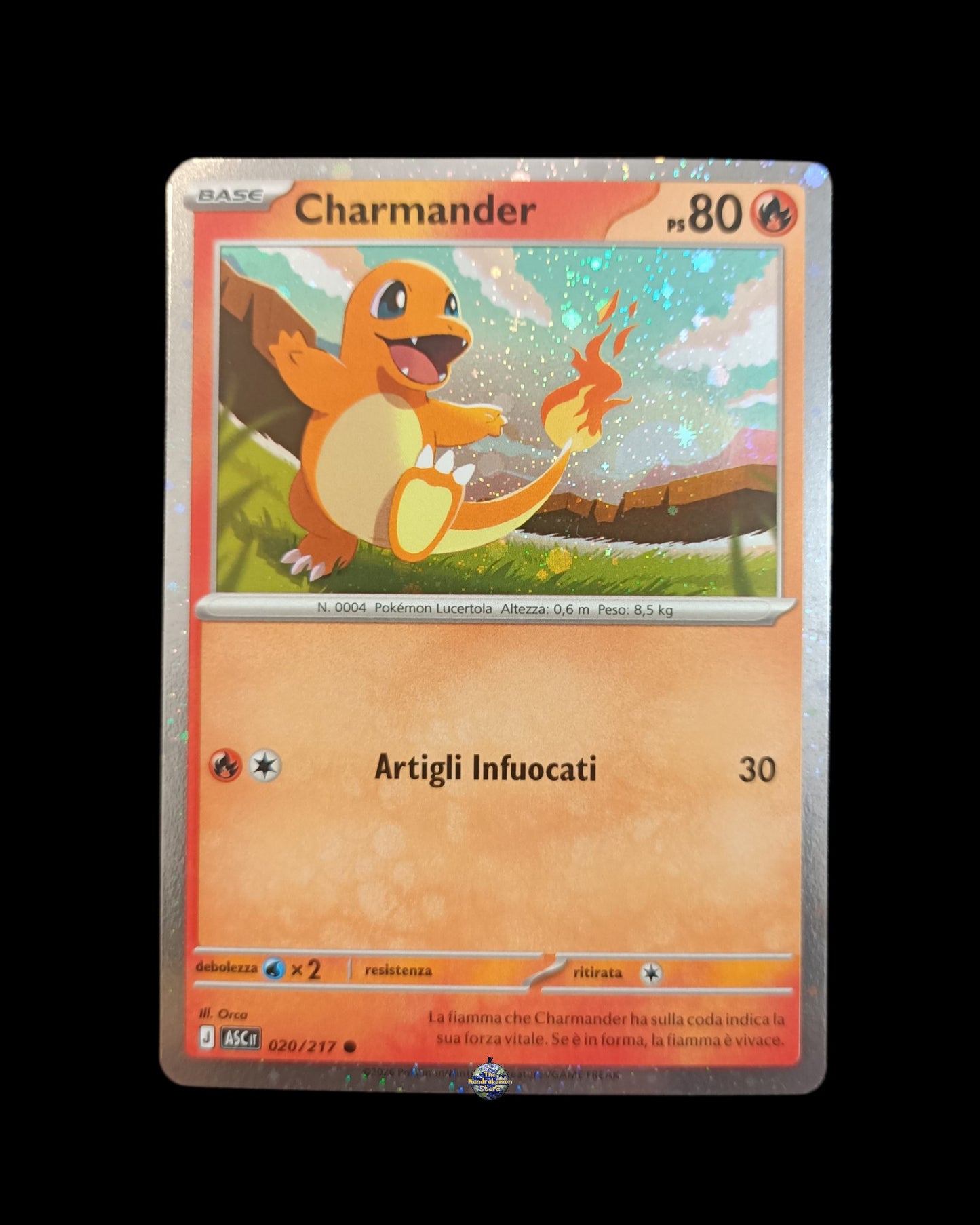 Charmander Holo Promo