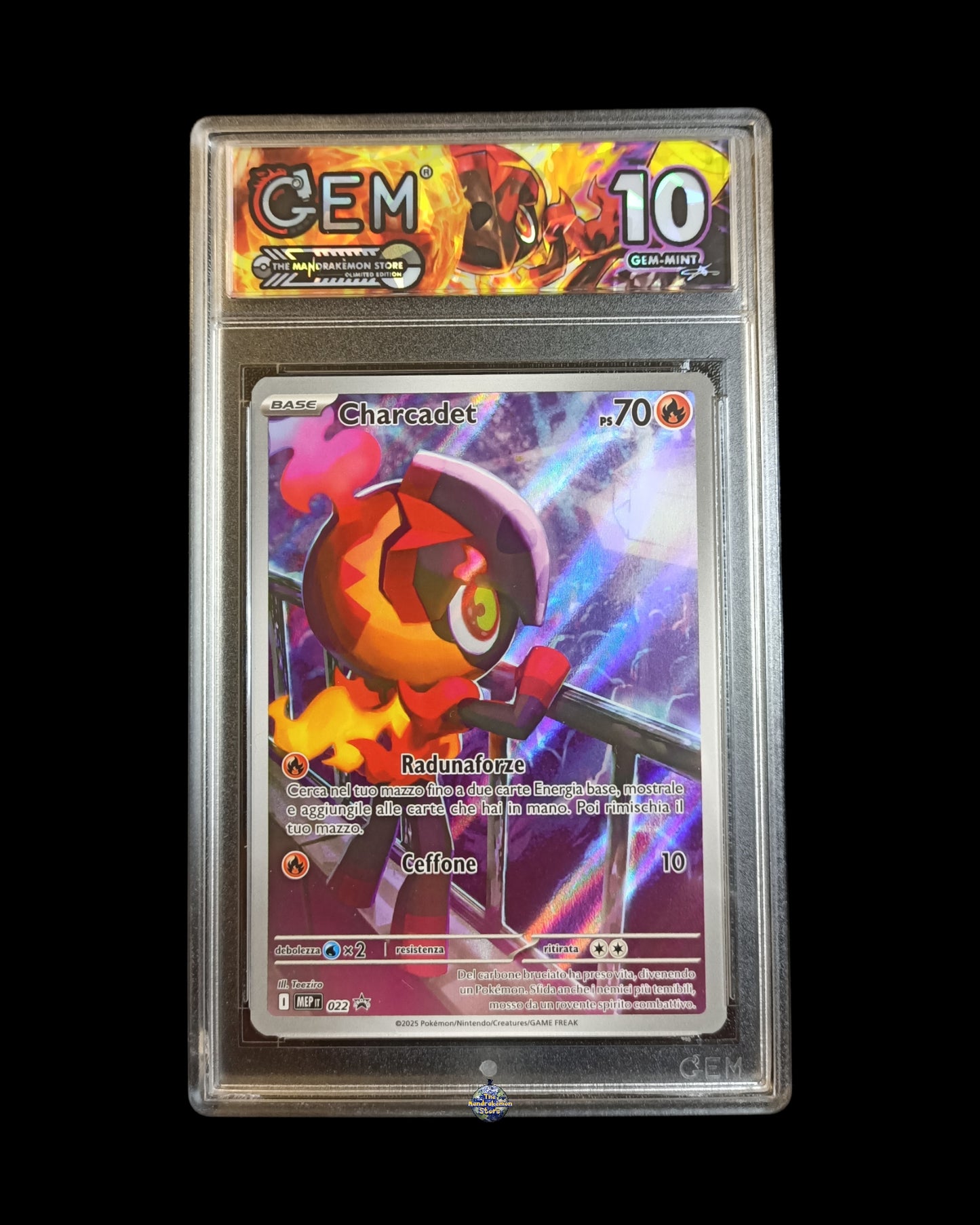 Charcadet Ar GEM 10