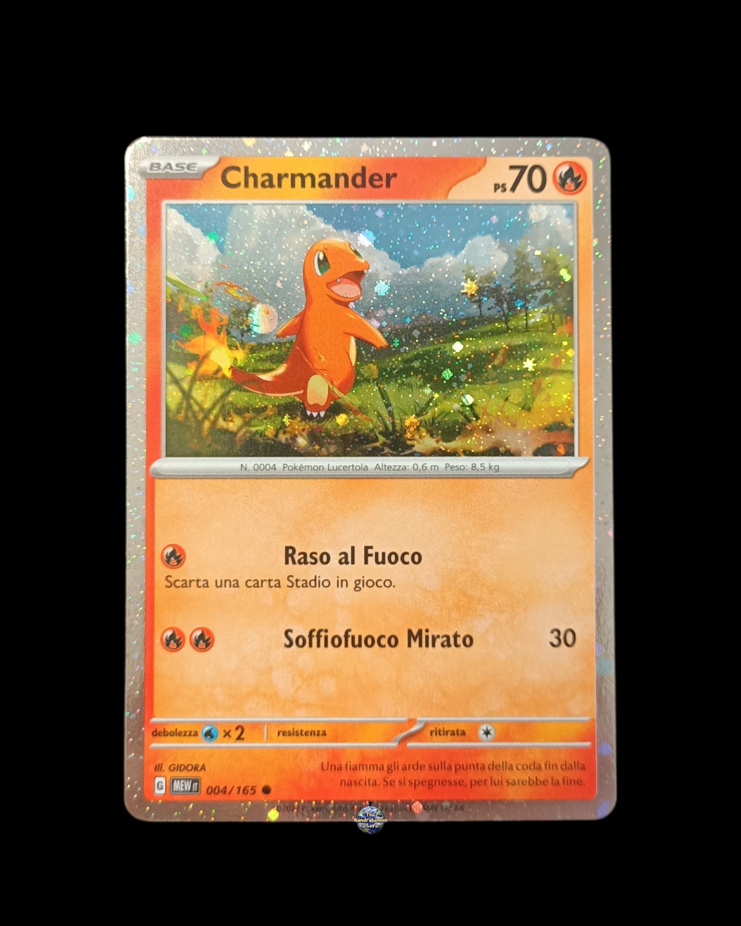 Charmander Holo Promo