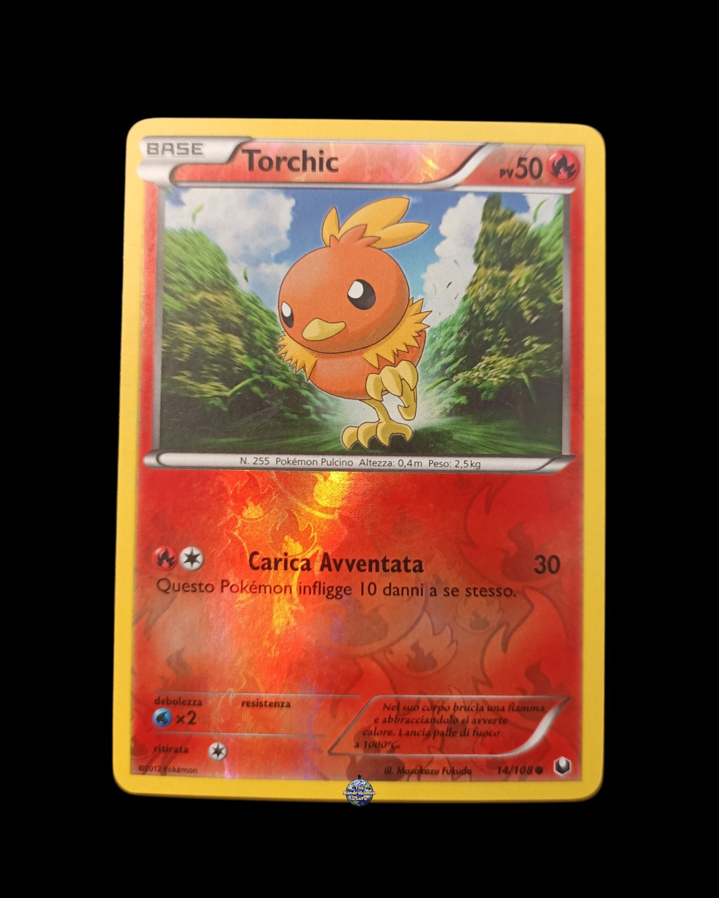Torchic Reverse