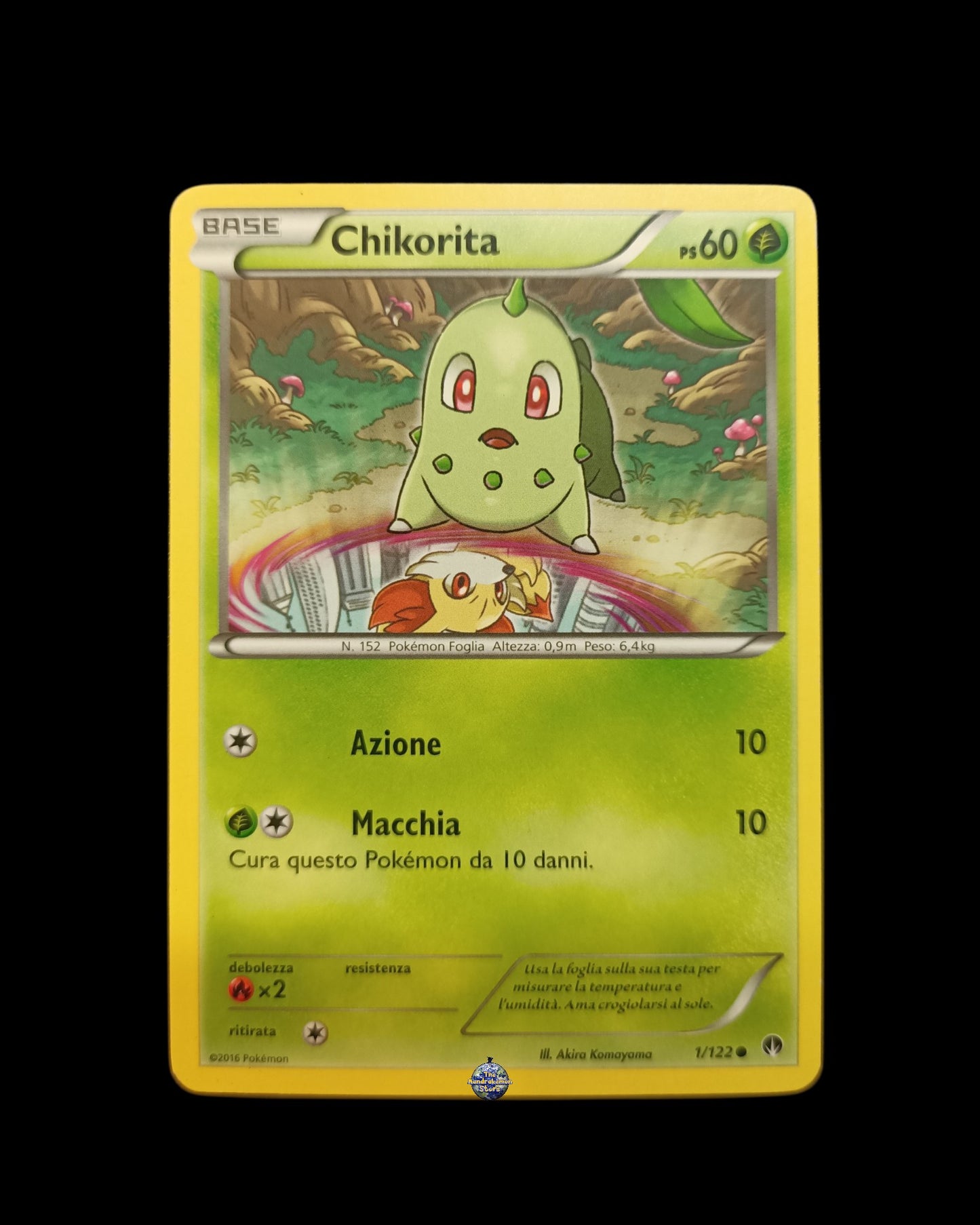 Chikorita
