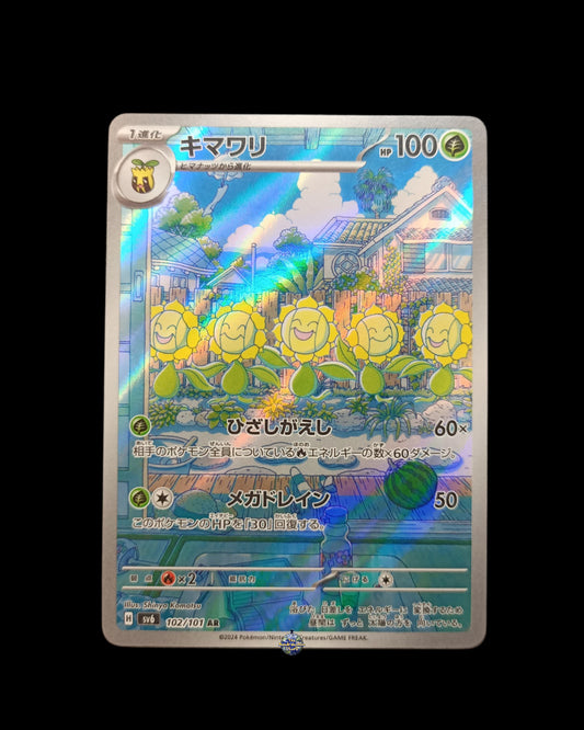 Sunflora Ar
