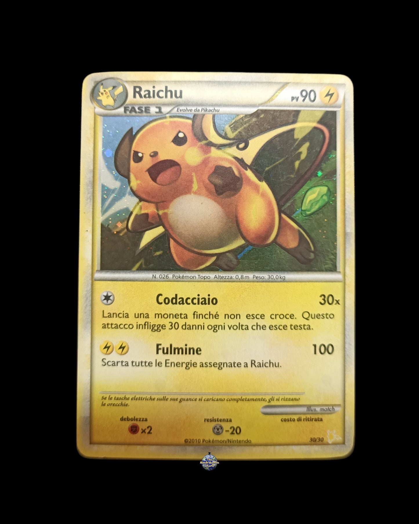 Raichu Holo Trainer Kit