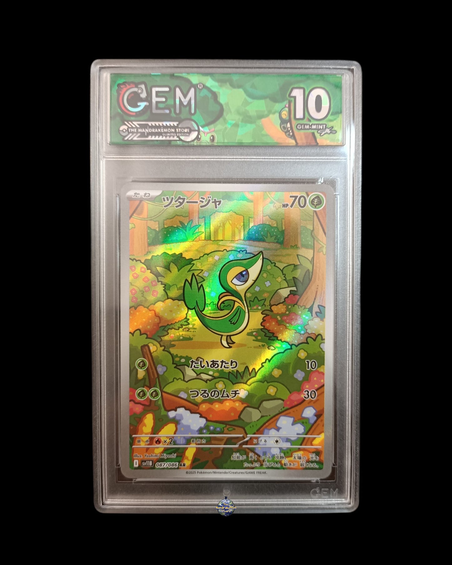 Snivy Ar GEM 10