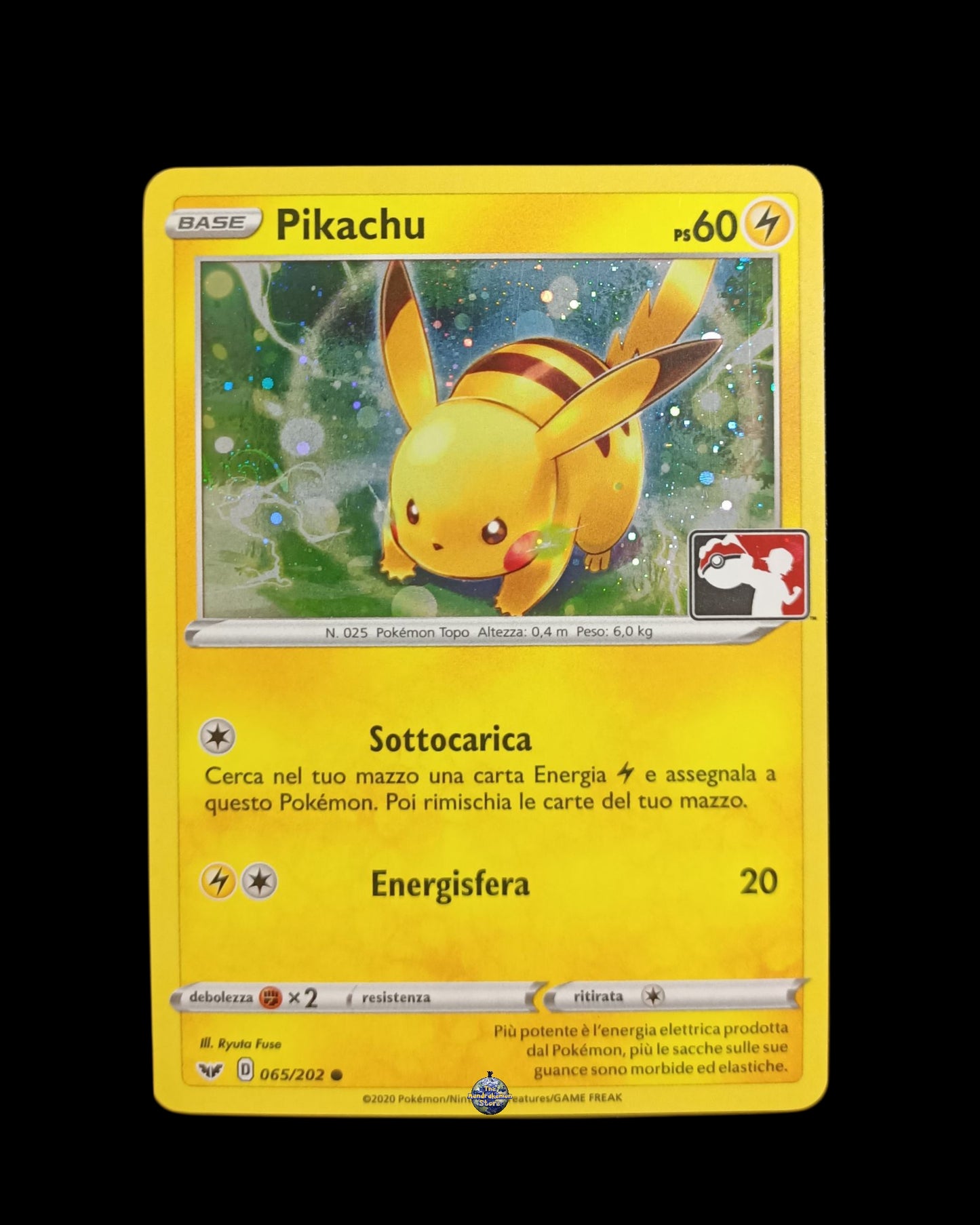 Pikachu Holo Pokémon League