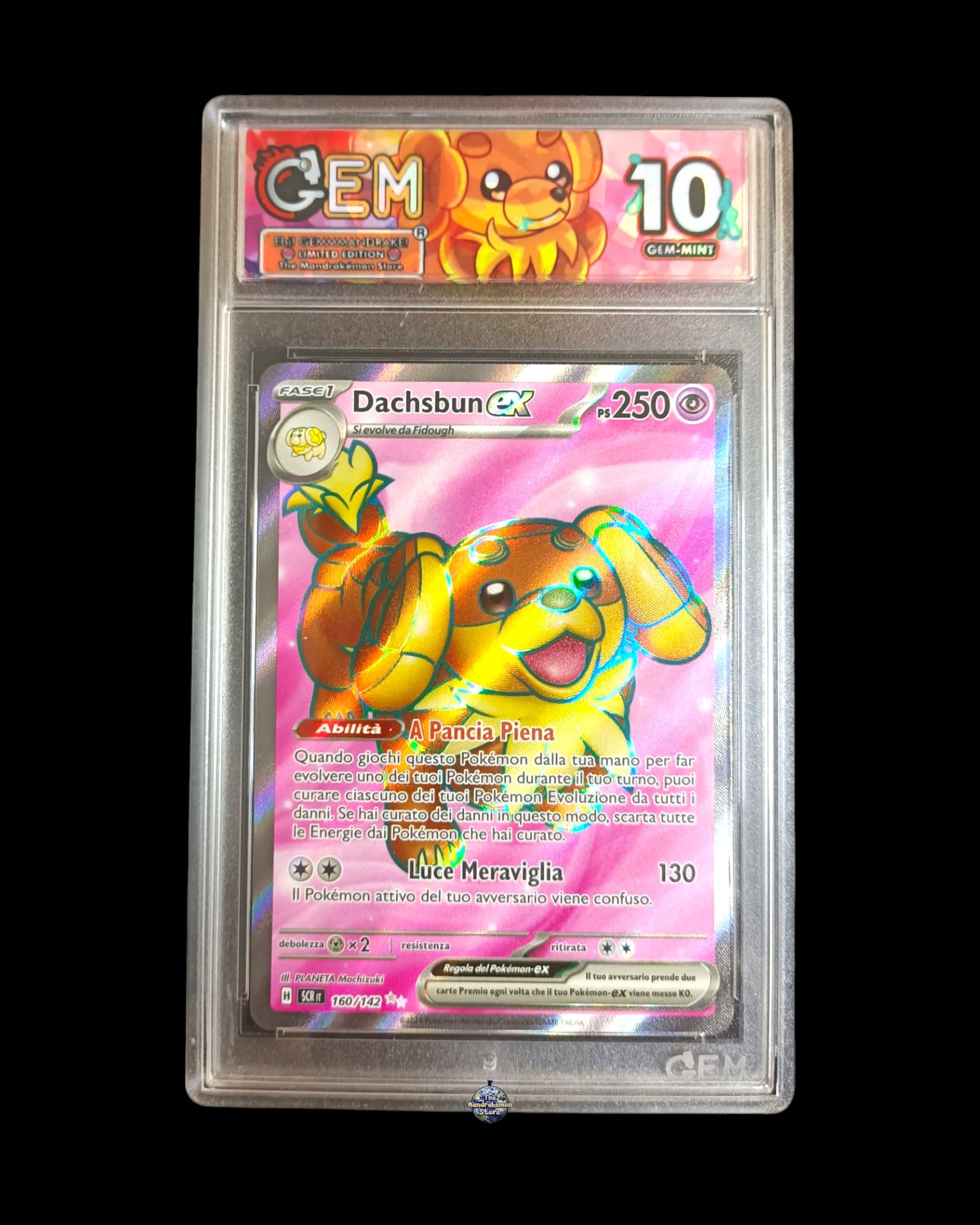 Dachsbun Ex GEM 10