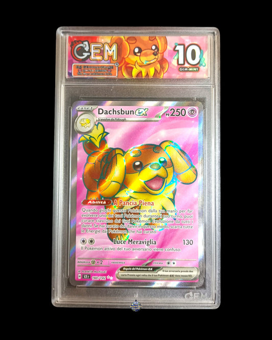 Dachsbun Ex GEM 10