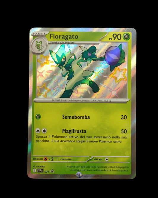 Floragato Baby Shiny
