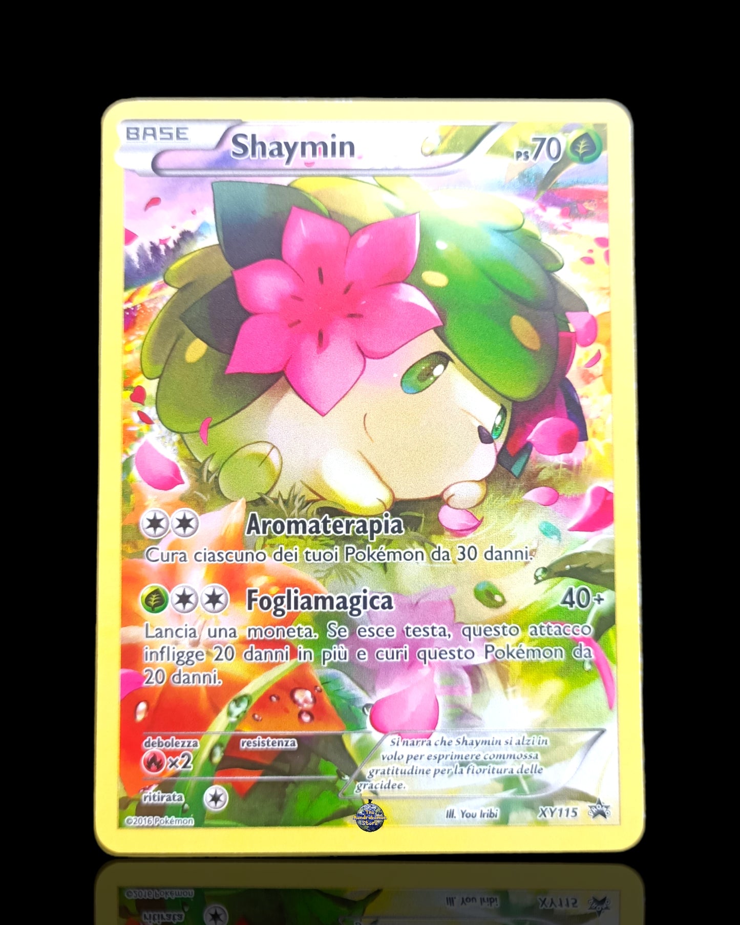 Shaymin Promo Trainer Gallery