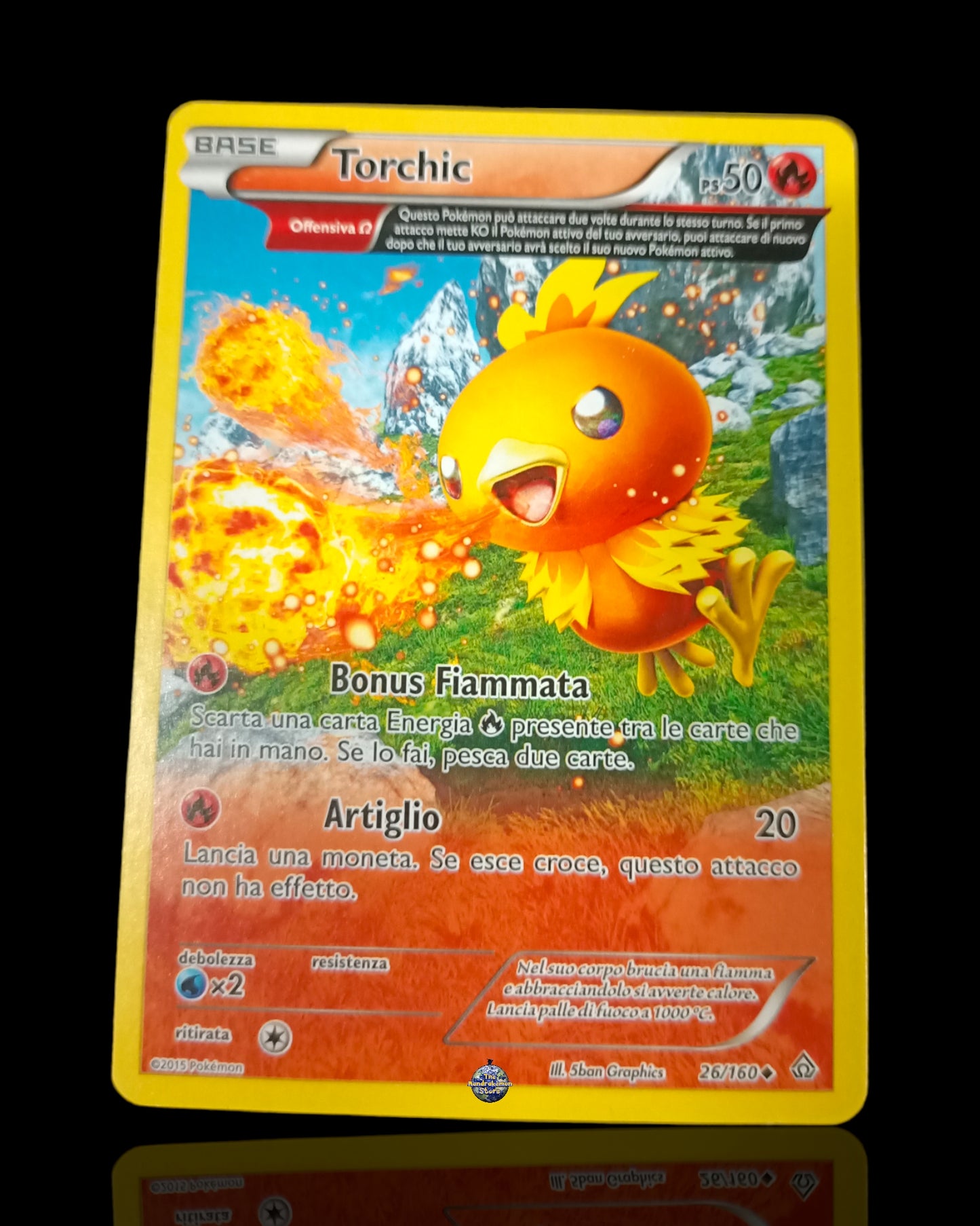 Torchic