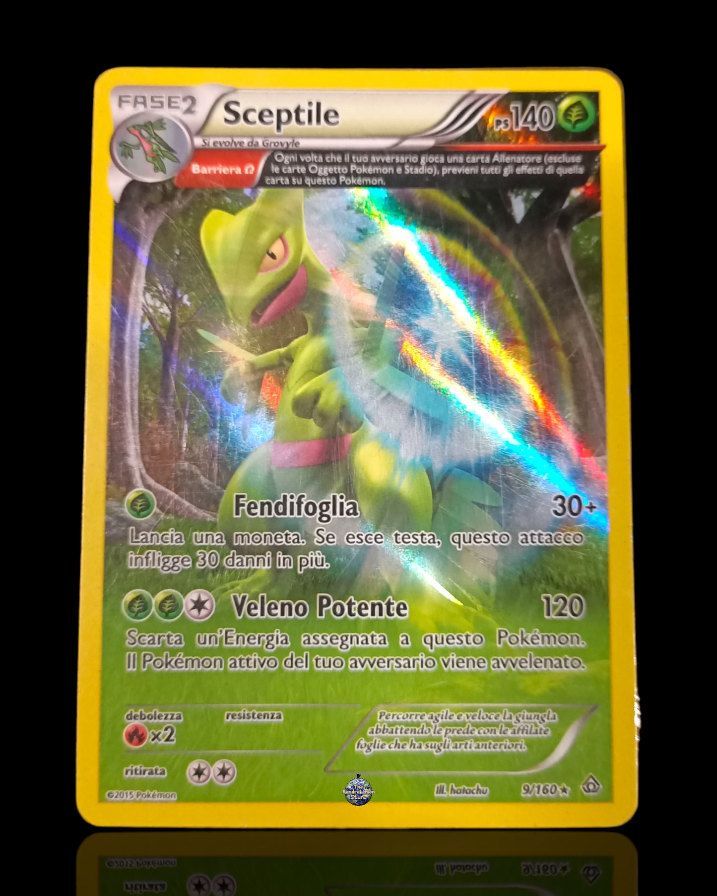 Sceptile Holo