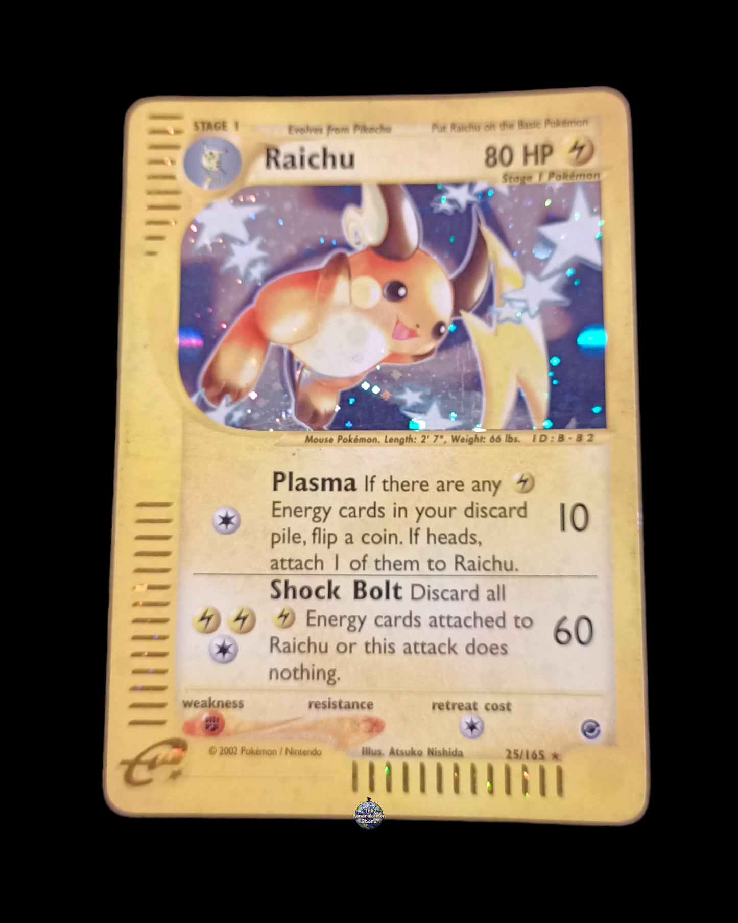 Raichu Holo Expedition