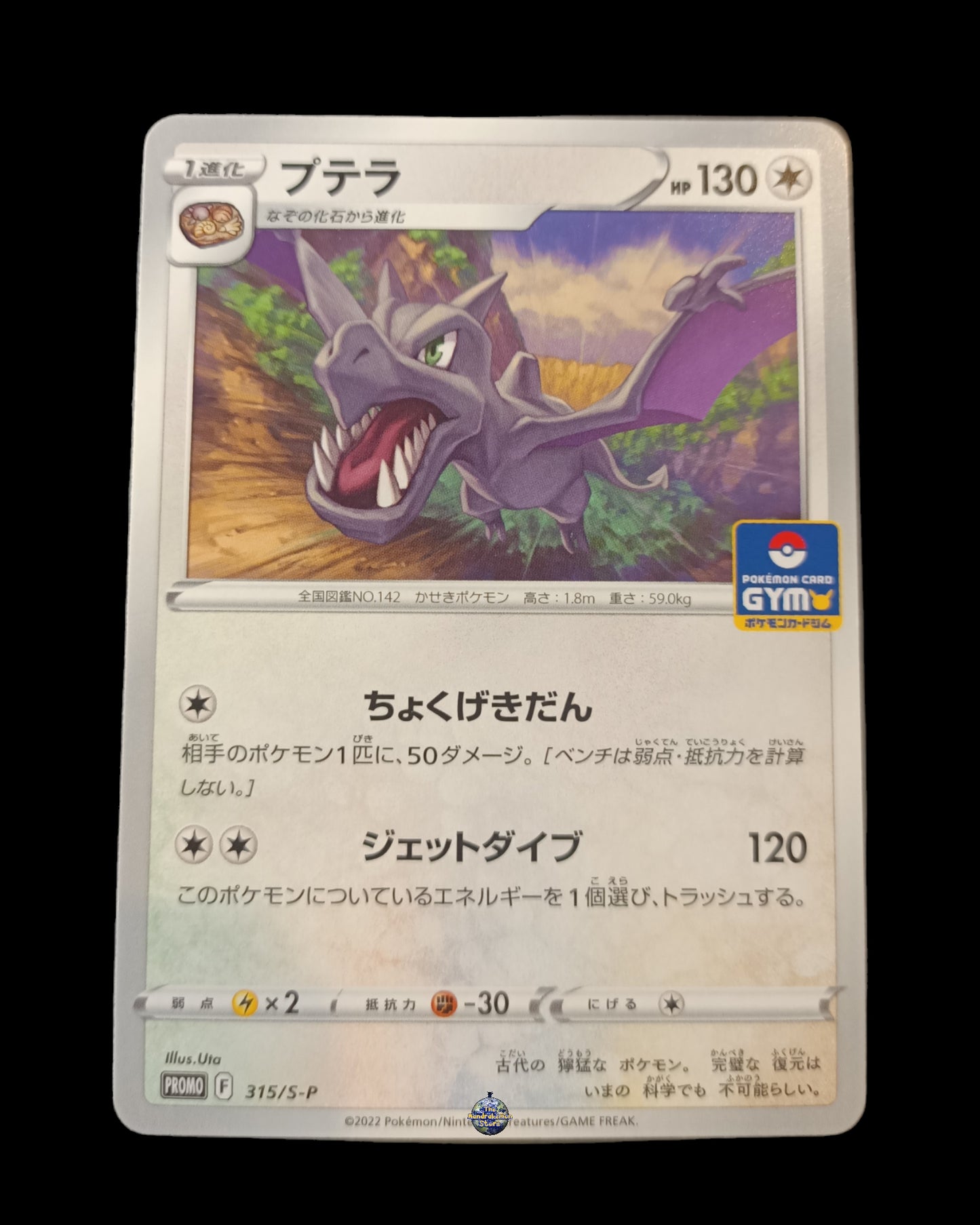 Aerodactyl Promo Gym