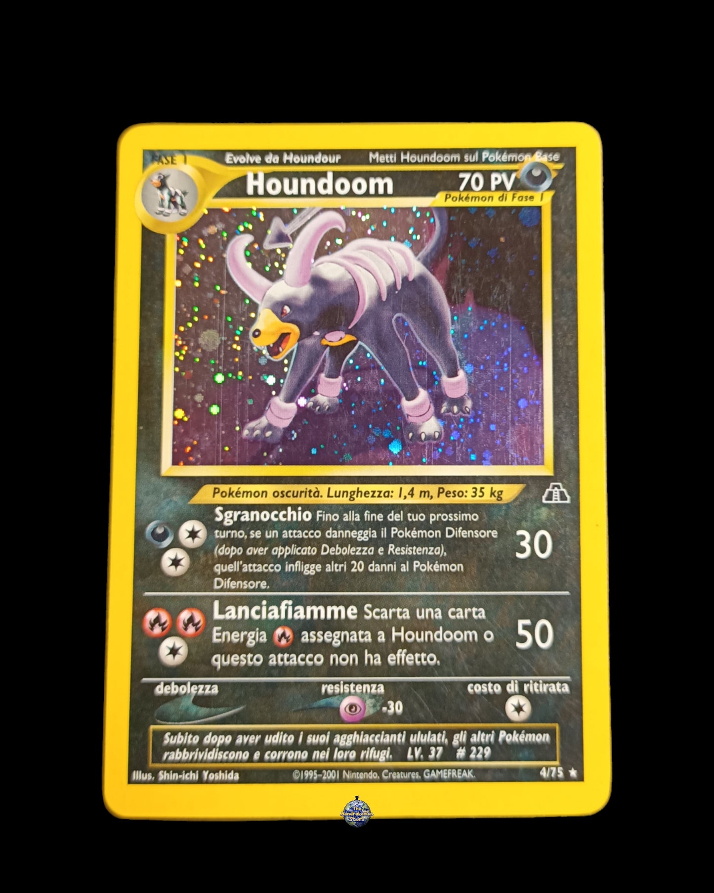 Houndoom Holo Neo Discovery