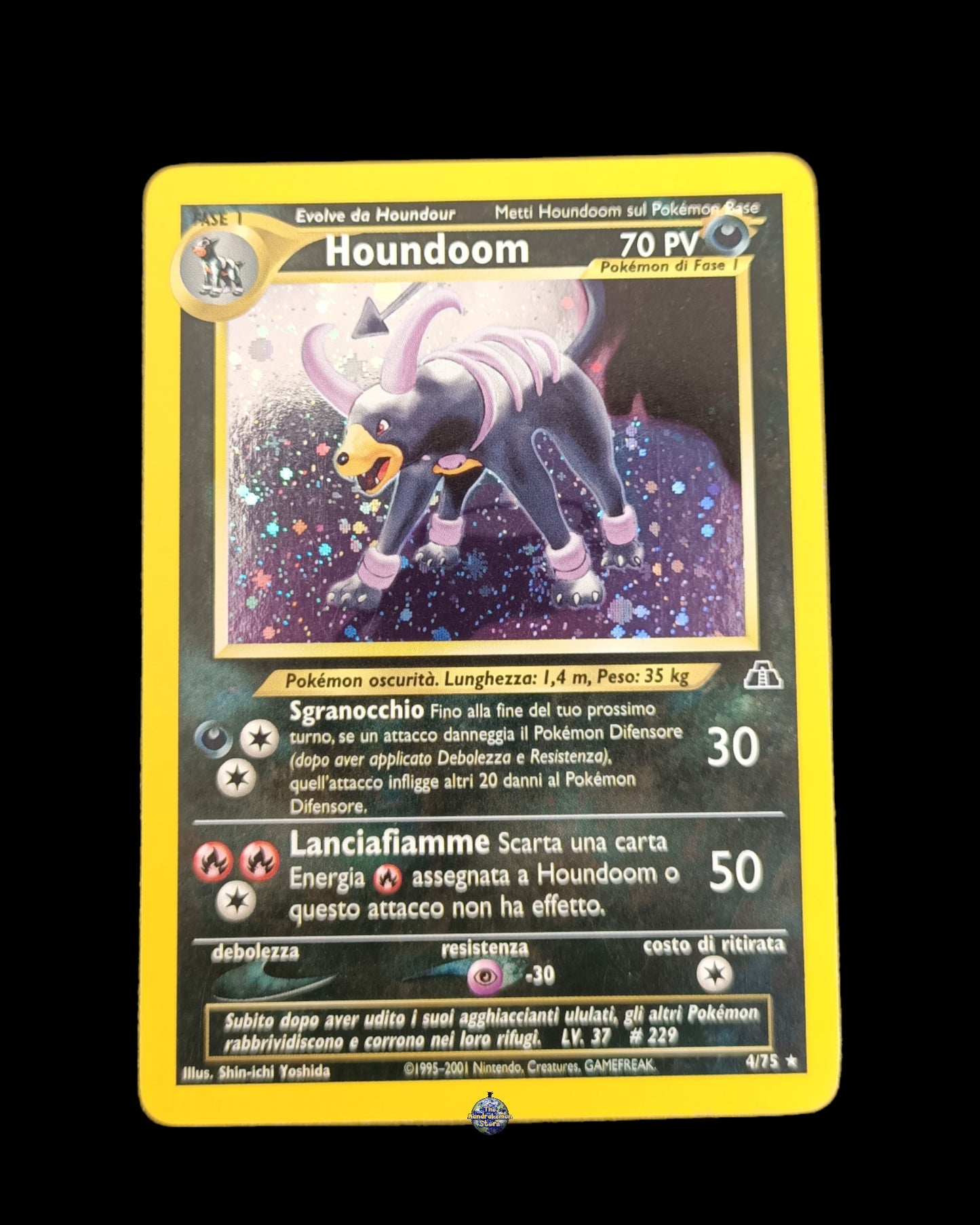 Houndoom Holo Neo Discovery