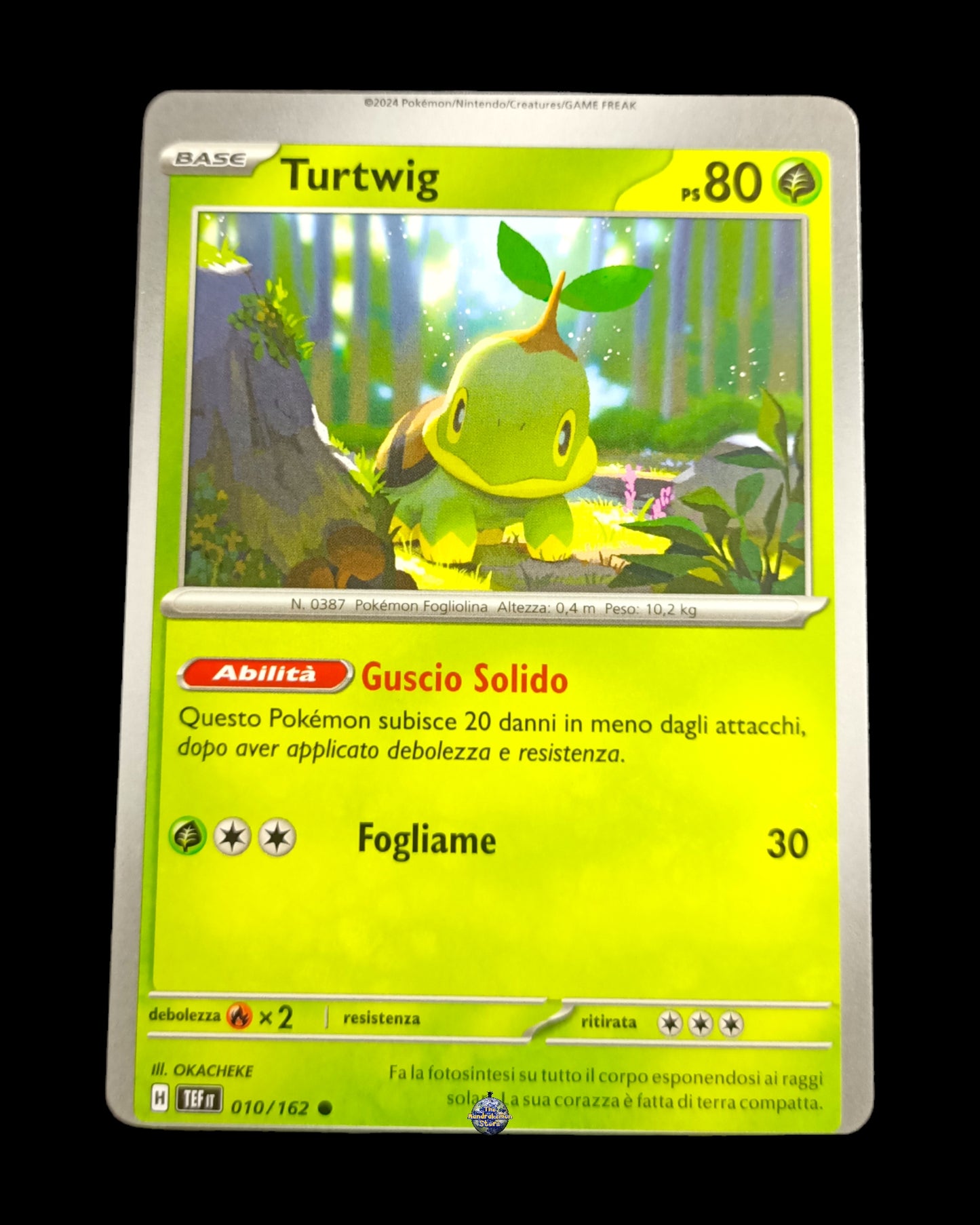 Turtwig Off-Center