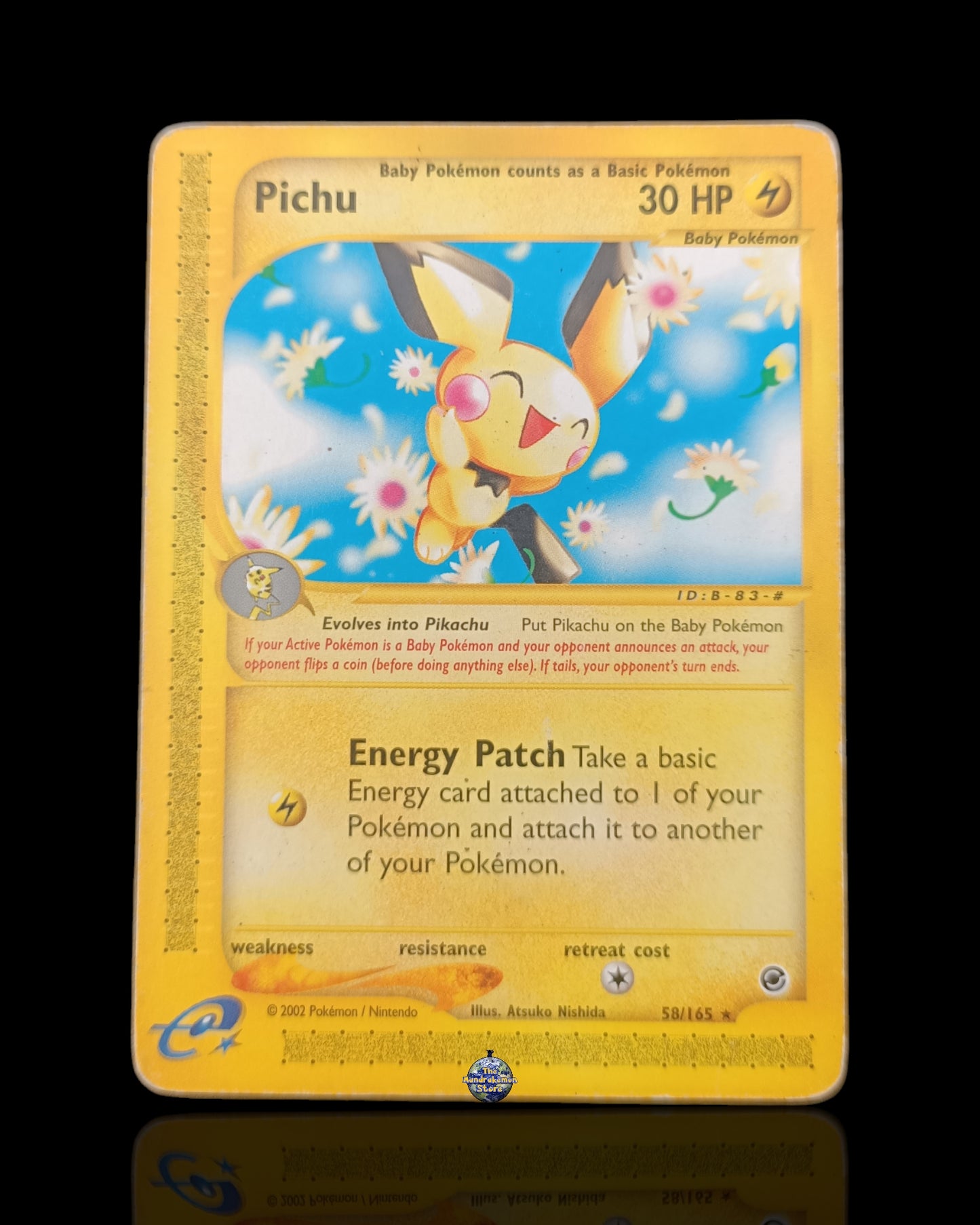 Pichu Expedition