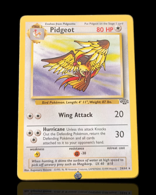 Pidgeot Jungle
