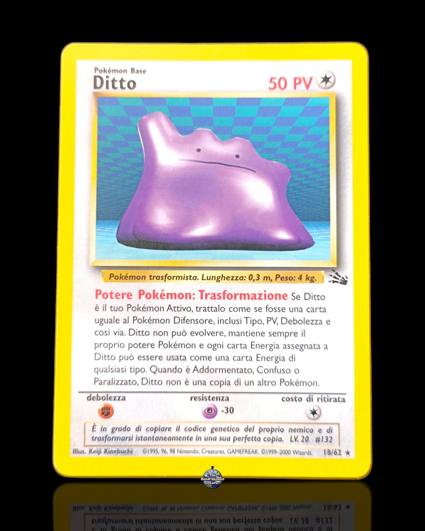 Ditto Fossil