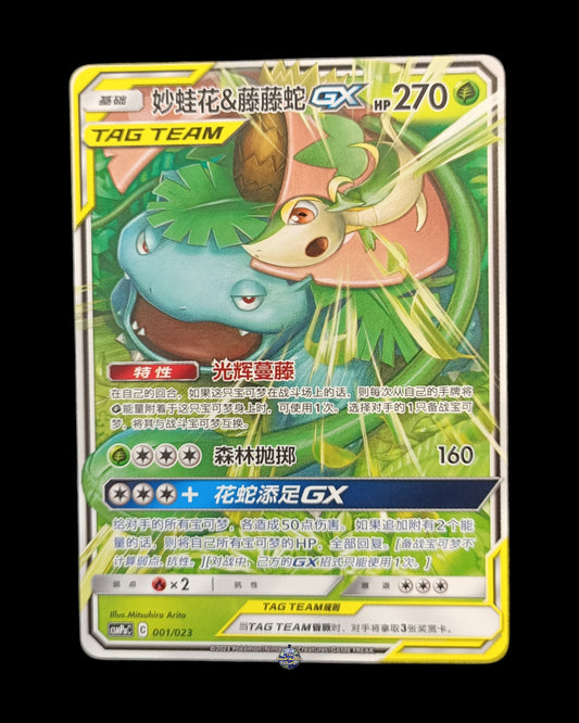Venusaur e Sniny Gx